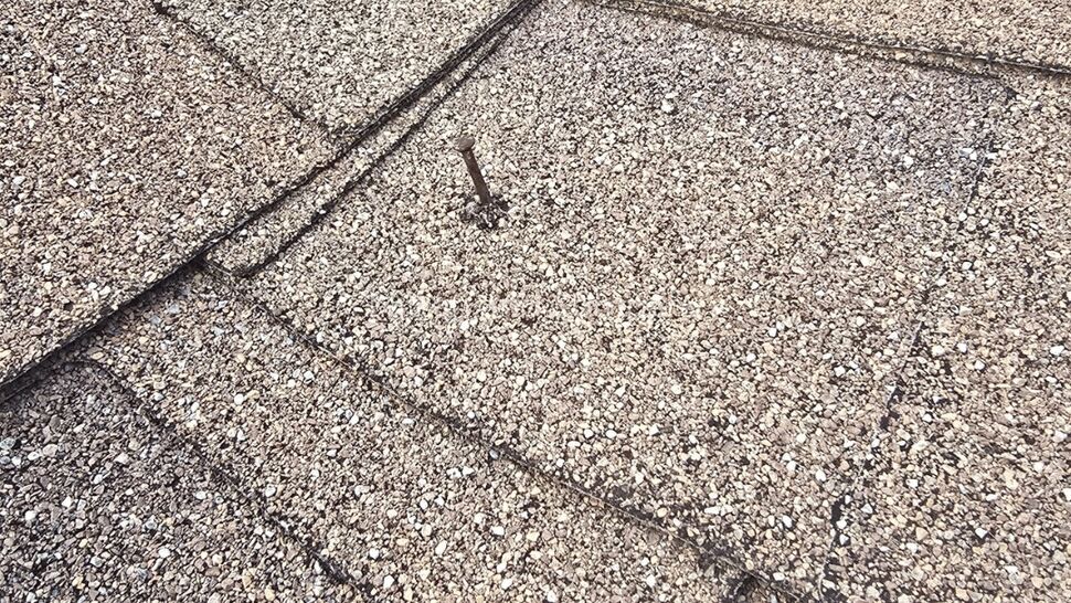Exposed Roofing Nail on Shingles | Mitten & Company Close-up of an exposed nail protruding from asphalt roof shingles.