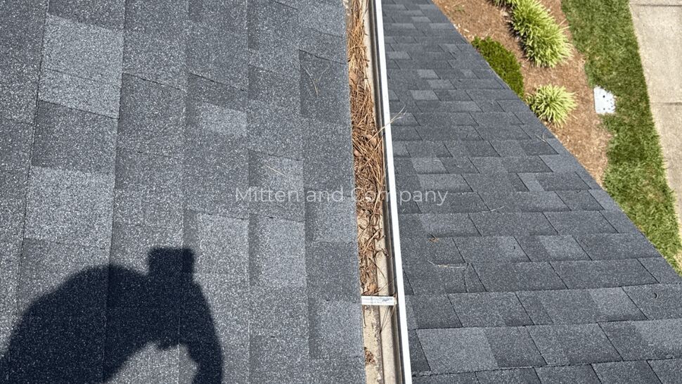 Close-up of gutter packed with needles between shingled roof sections