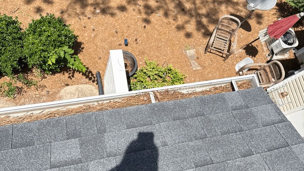 Aerial view of roof edge and clogged gutter with pine needles and yard below