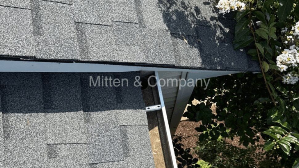 Close-up of roof edge and gutter next to a flowering tree.