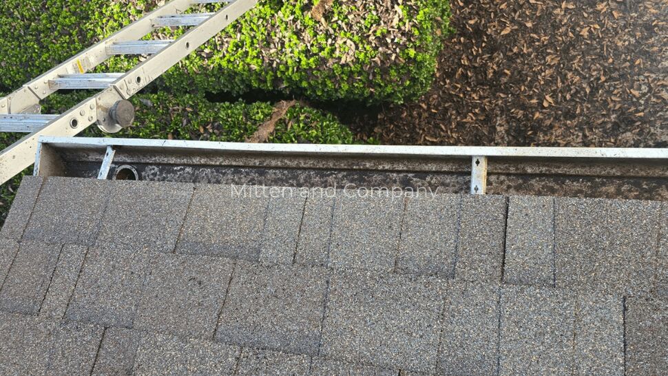 Ladder placed against house with worker clearing gutter from above