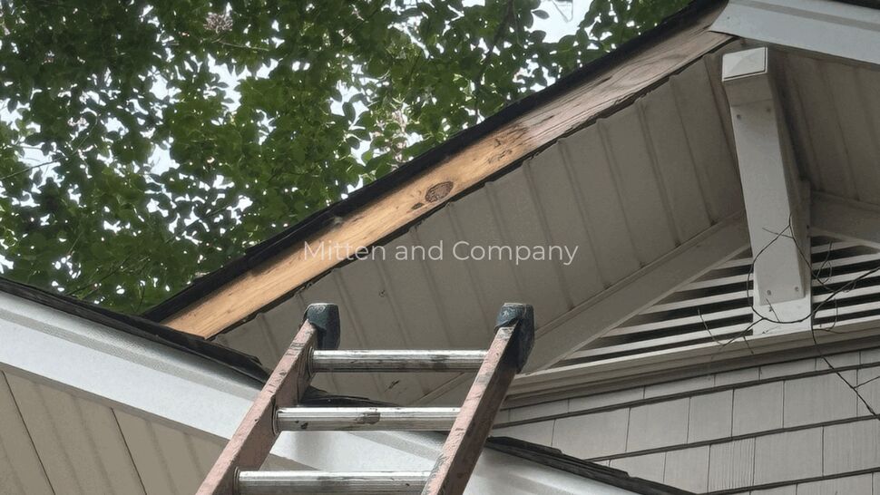 Extension ladder leaning against roof eave exposing roof decking and shingle edge