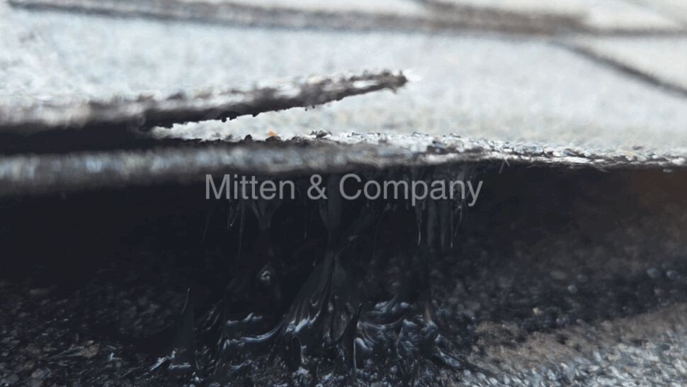 Macro shot of a lifted shingle edge revealing adhesive and underlayment.