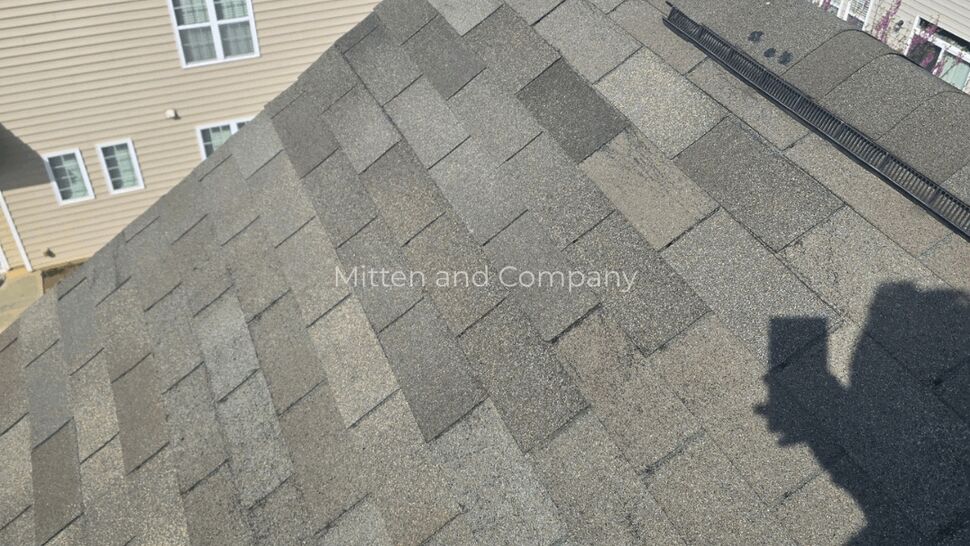 Multifamily Shingle Roof Detail | Mitten & Company Close-up of asphalt shingles and ridge vent on a multifamily roof