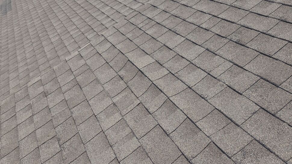 Wide view of a residential asphalt roof slope with multiple vent pipes and distant treeline