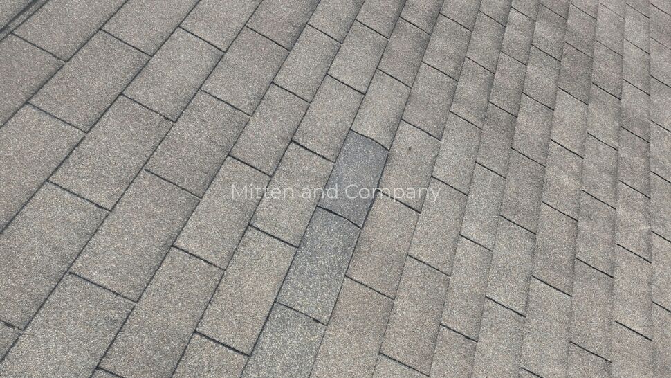 Roof Shingle Damage Inspection | Mitten & Company Gray asphalt roof shingles showing a visibly damaged and missing shingle area