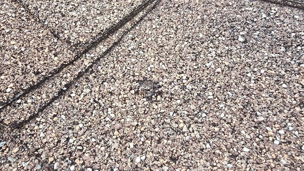 Roof Shingle Granule Loss | Mitten & Company Close-up of asphalt shingles showing heavy granule loss and worn seams.