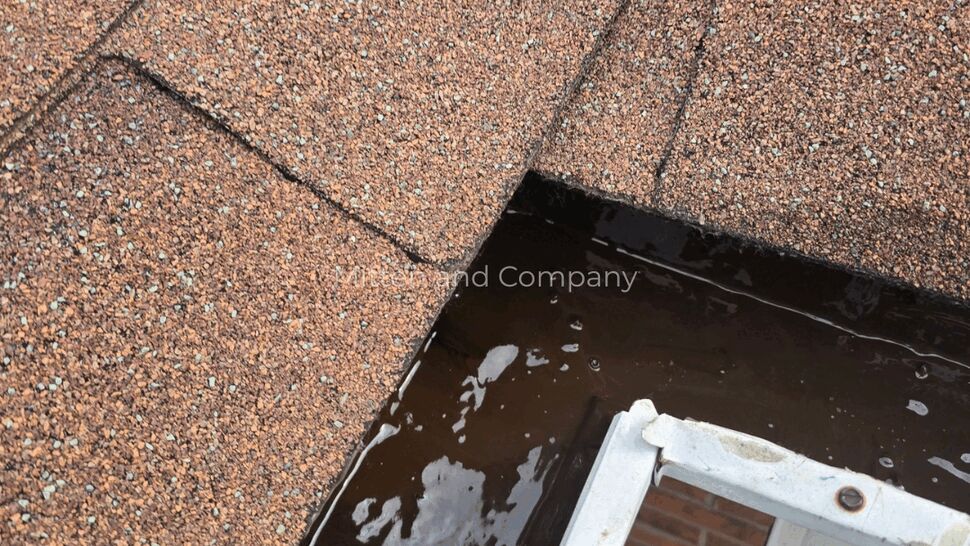 Damaged Roof Shingles | Mitten & Company Close-up of damaged asphalt shingles and exposed roofing near a roof edge