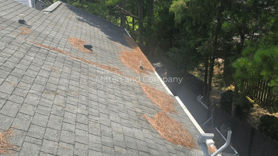 Aerial view of shingled roof valley with pine needles along seams
