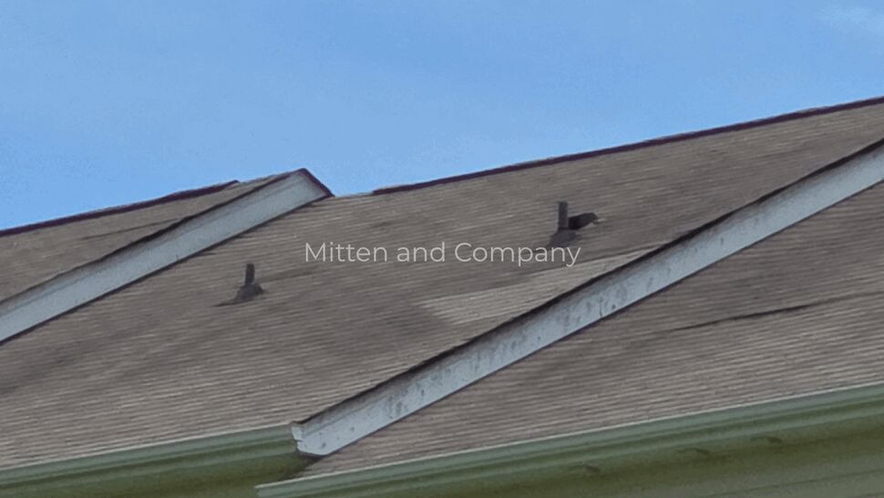 Roof vent area with worn shingles | Mitten & Company Roof ridge with vents and worn shingle patches on a multifamily roof