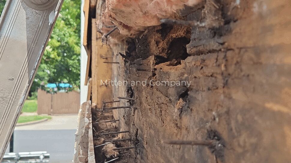 Rotted Wall Framing Inspection | Mitten & Company Close-up of rotted wall framing and insulation beside a gutter