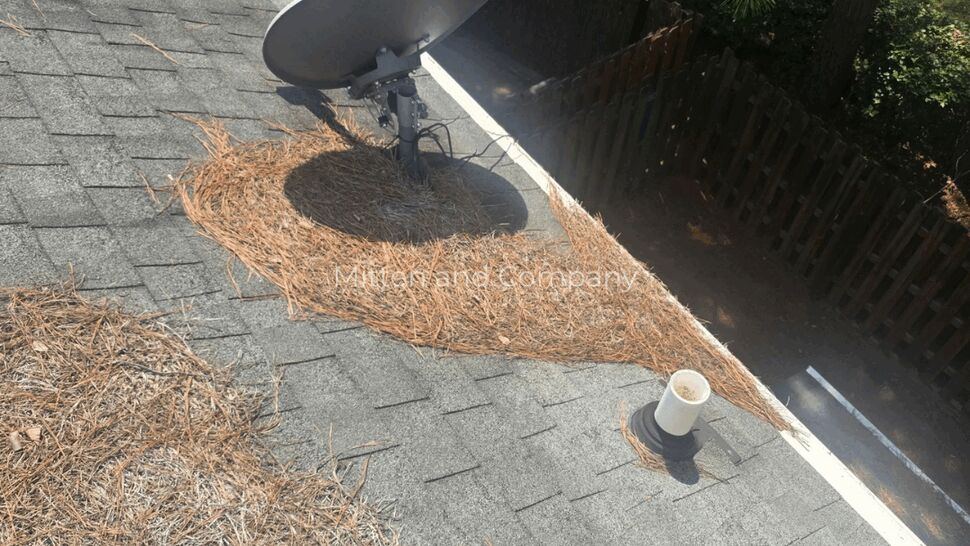 Roof with satellite dish and pine needles near the gutter