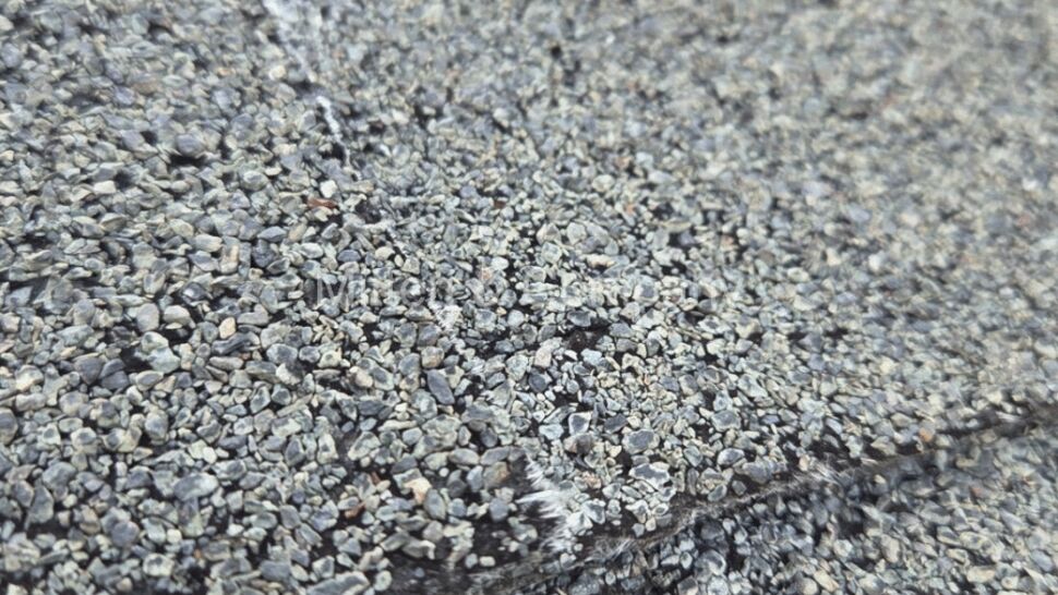 Extreme close-up of loose roofing granules and shingle surface erosion.