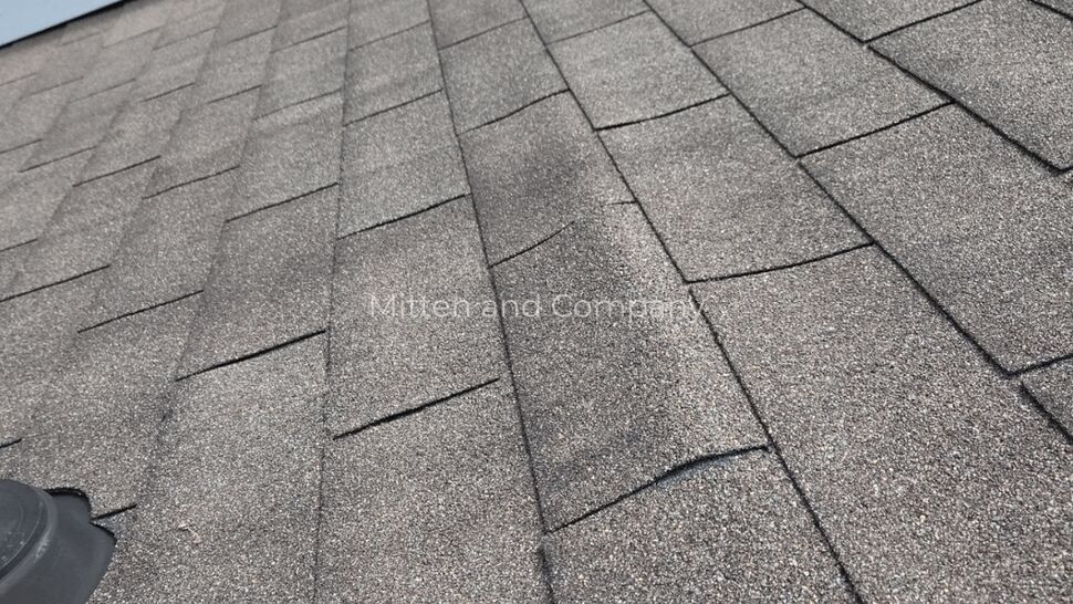 Close-up of buckled shingles | Mitten & Company Close-up of asphalt shingles showing buckling and granule loss