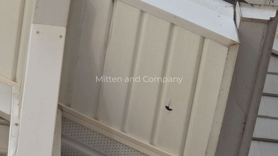 Close-up of soffit corner with curved downspout elbow showing wear and joints