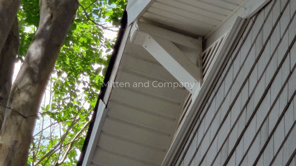 Close-up of soffit and gutter edge with visible separation under tree branches