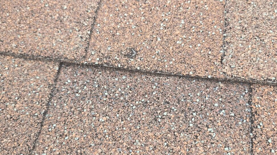 Weathered Asphalt Shingle Surface | Mitten & Company Close-up of weathered asphalt shingles with visible seams and surface wear.