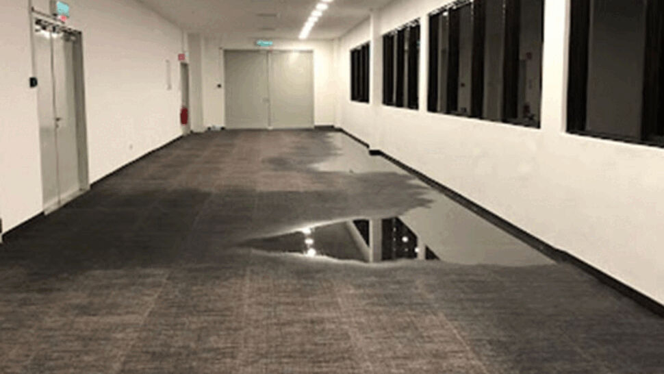 Long carpeted corridor with visible standing water and reflections on the floor.