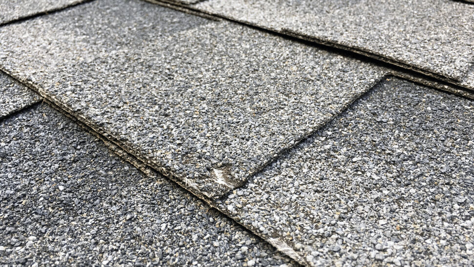 Close-up of a lifted and damaged asphalt shingle edge