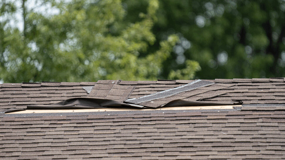 Long strip of lifted shingles revealing underlayment and roof sheathing.