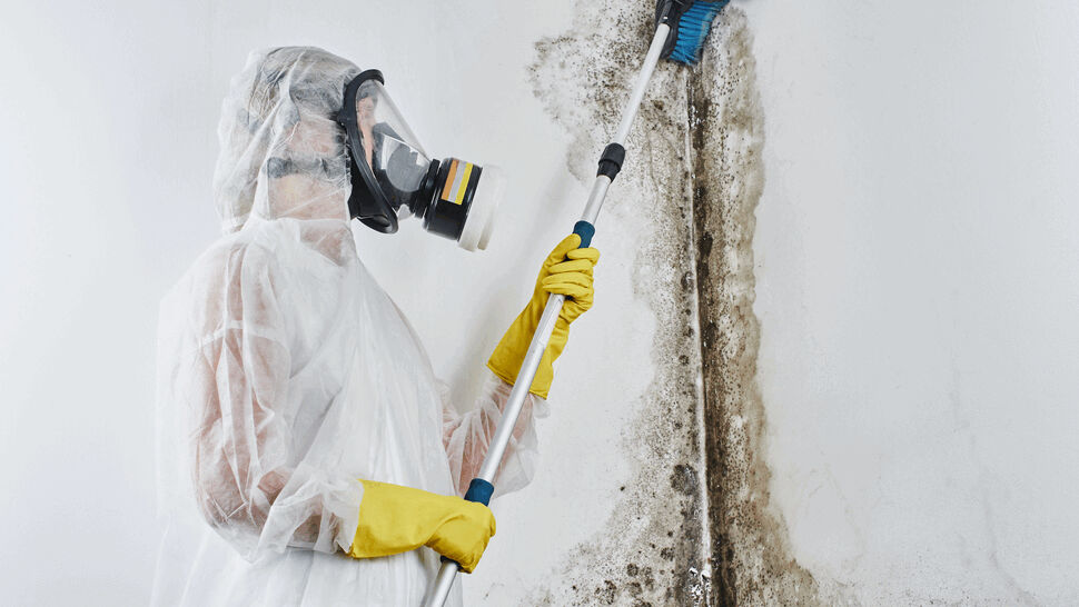 Worker in respirator scrubbing mold from a wall with a brush