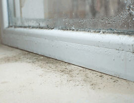 Close-up of condensation and mold growth on a window sill