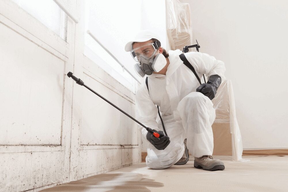 Mildew Removal