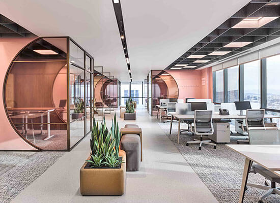 Commercial Interior Renovation