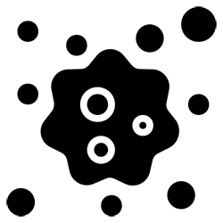 Source-Focused Approach