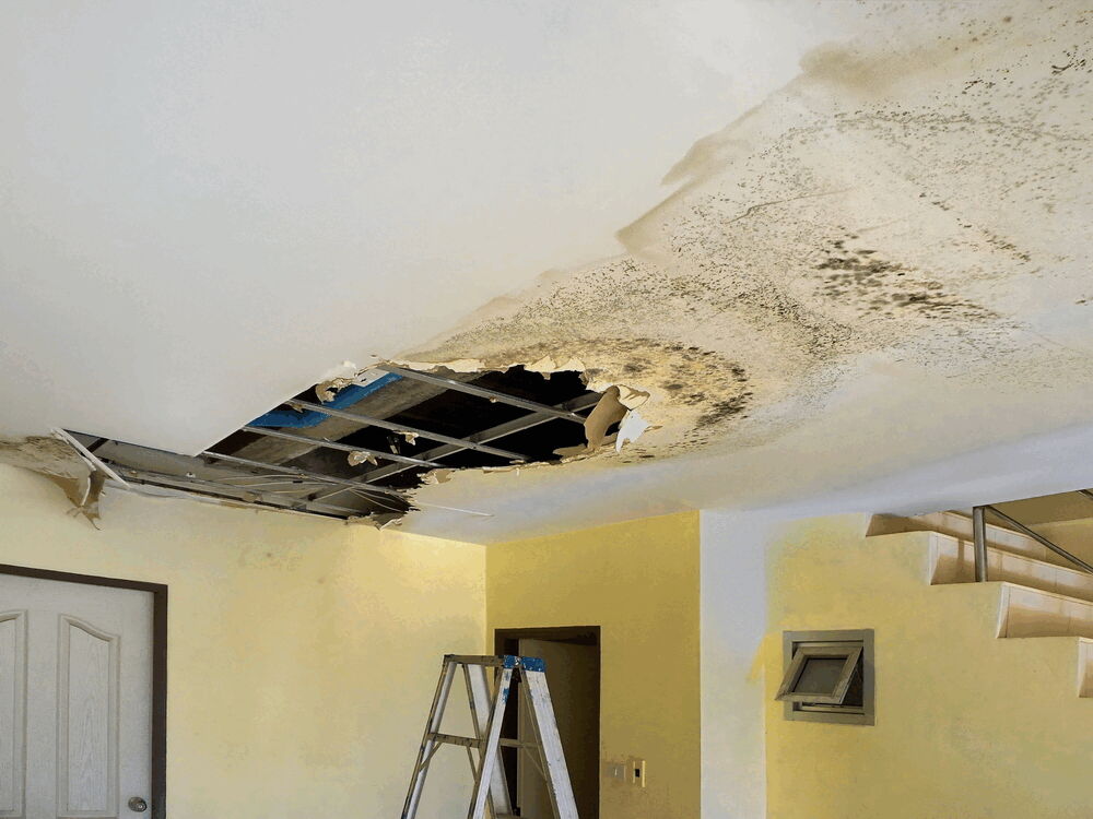Water & Fire Restoration