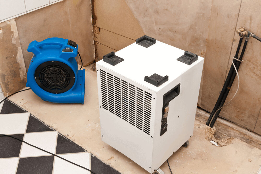 Dehumidification Services