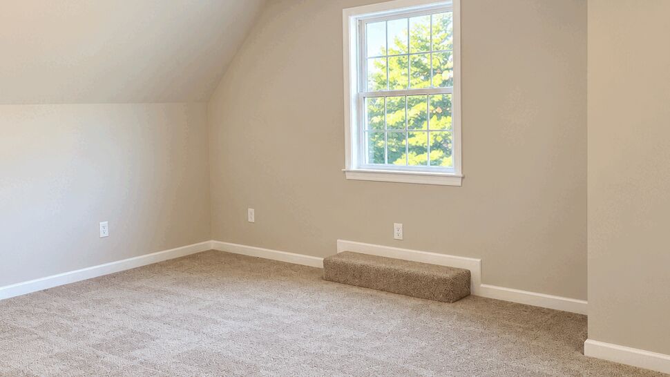 Bright Carpeted Room | TSP Contracting Bright empty room with beige carpet, ceiling fan, and sunlit window