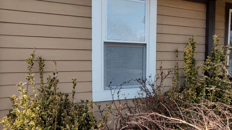 Windows Project in Asheville, NC by Palmetto Home