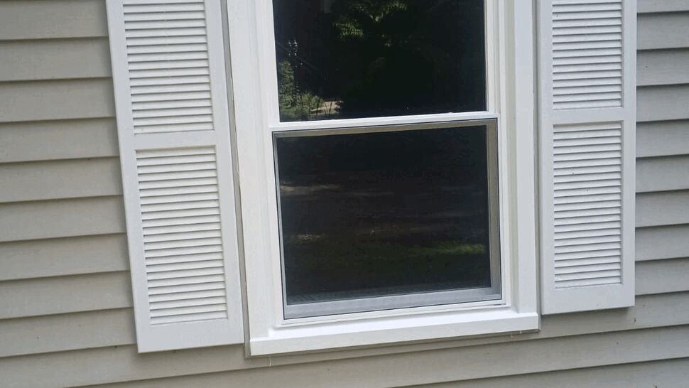 Centered double-hung window flanked by white shutters on vinyl siding