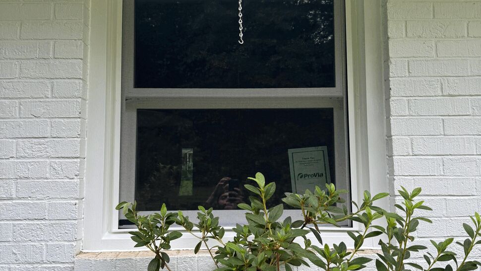 White single-hung window with screen set in painted brick and shrub in front