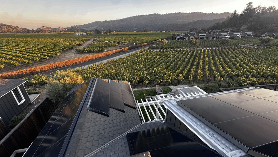 Aerial view of multiple roof solar panels with vineyard rows and distant hills at sunset.