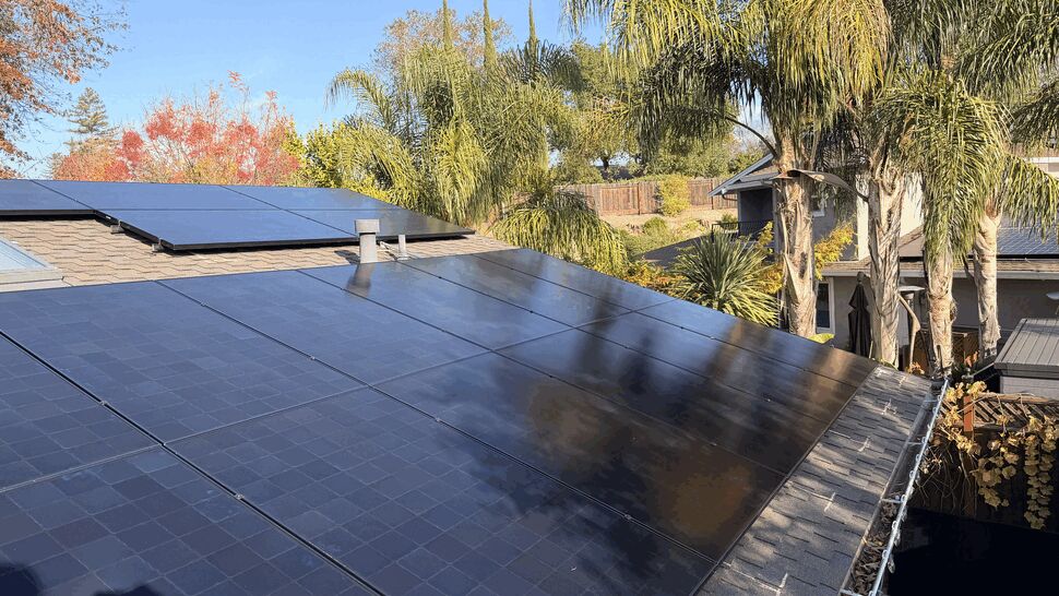 Close-up of black solar panels installed on a shingled roof with palm trees in the background.