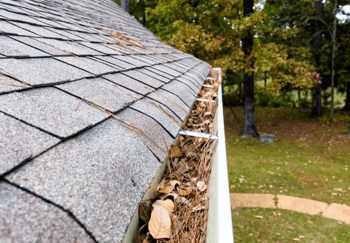 Essential Roof Maintenance Tips for Spring
