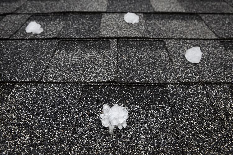 Hail Damage