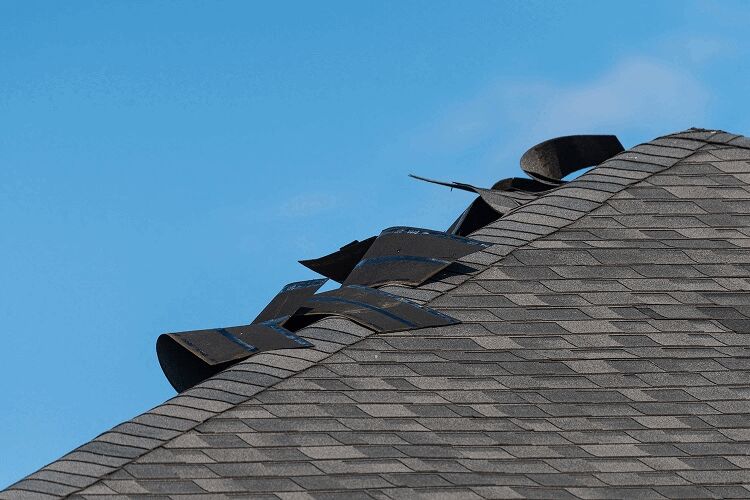 Wind Damage