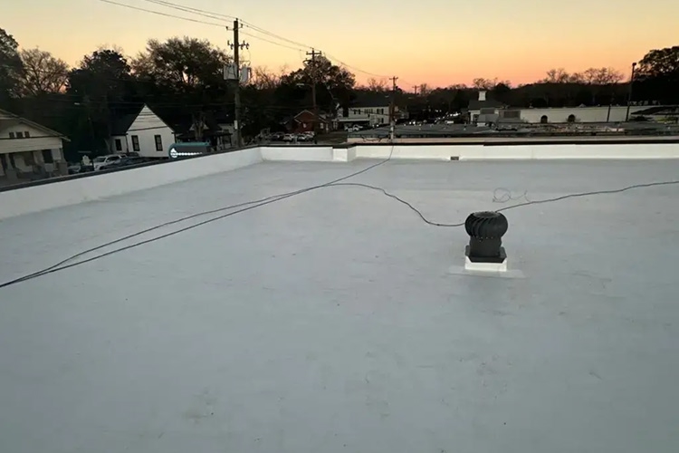 Commercial Roof Types