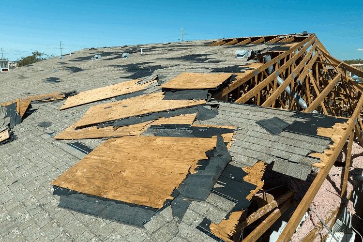 Hurricane Damage