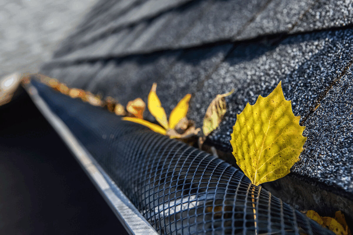 Gutter Upgrades That Protect Minnesota Homes