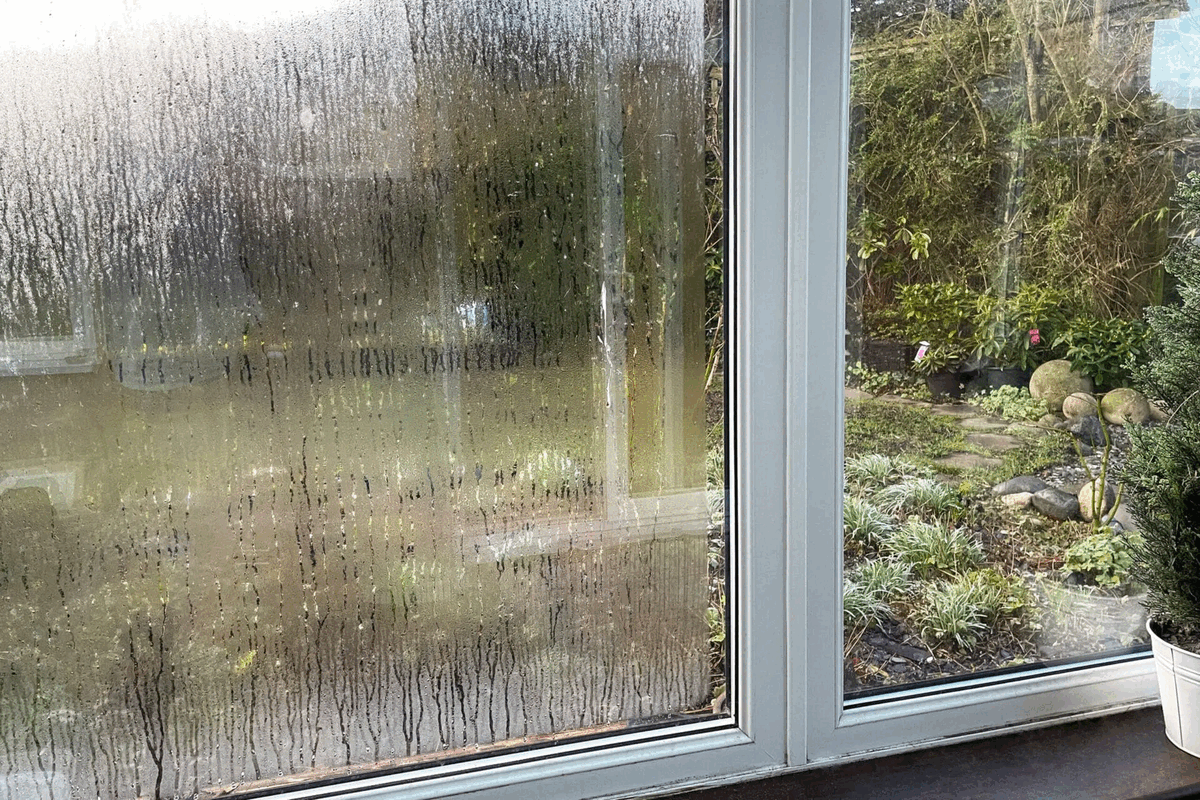 When Should You Replace Your Windows? Fall Q&A for Central Minnesota Homeowners