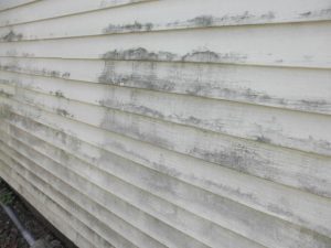 Is it time to replace your siding?