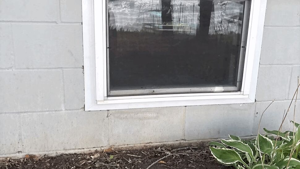 Close-up of basement window with white frame and concrete block wall