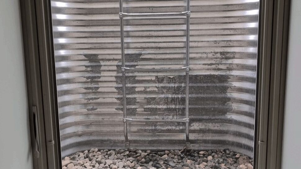 Basement window viewed from inside with corrugated metal window well and ladder.