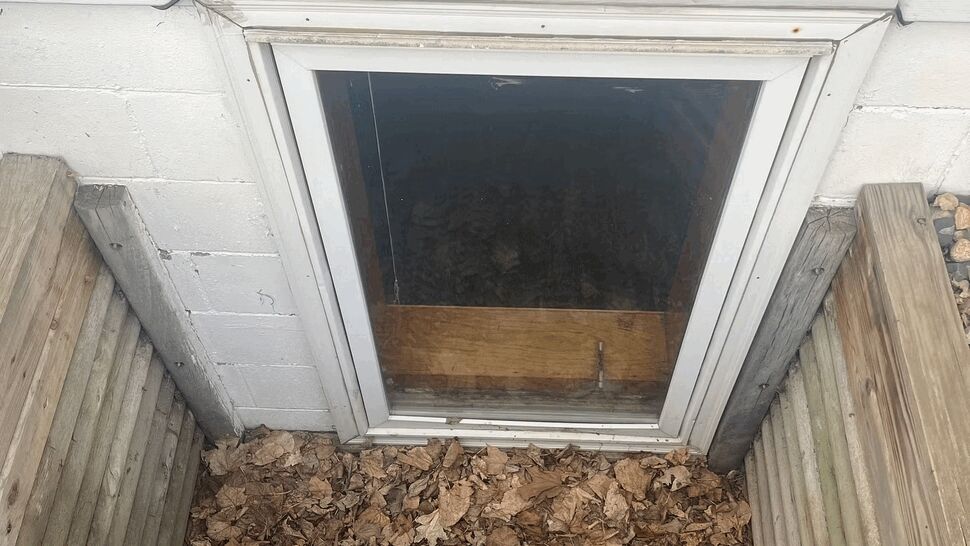 Below-ground egress window with wooden window well filled with dry leaves.