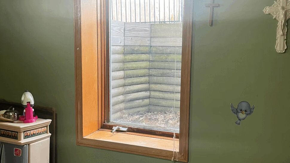Interior basement window with wooden trim looking out to a boxed window well.