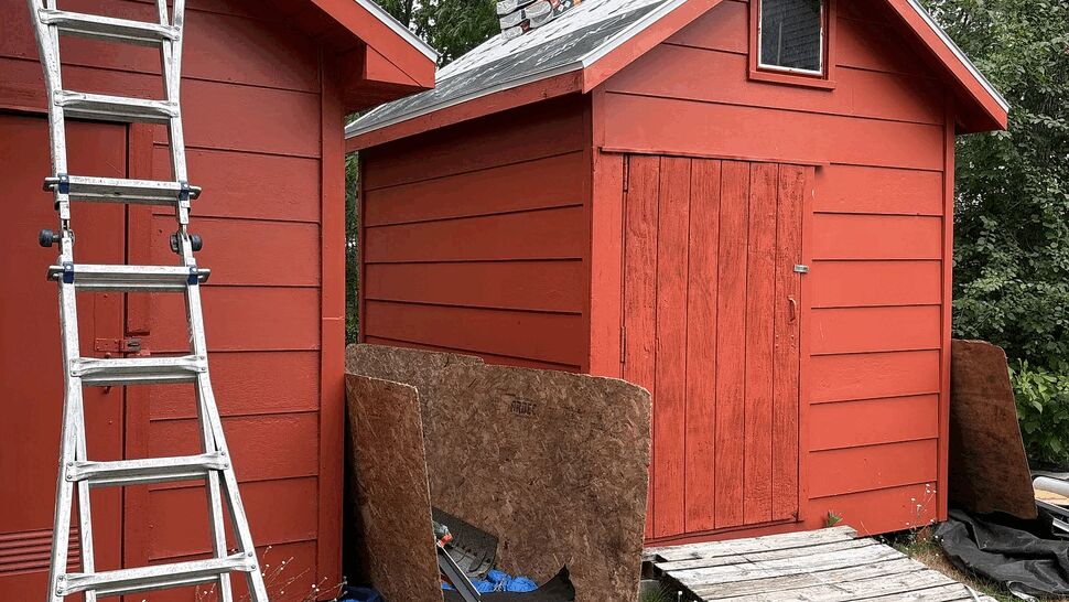 Red backyard shed with ladder and roofing materials on roof